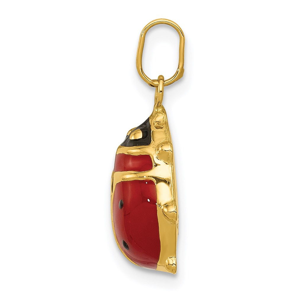 14K Gelbgold 14K Emailliert Marienkäfer Charm
