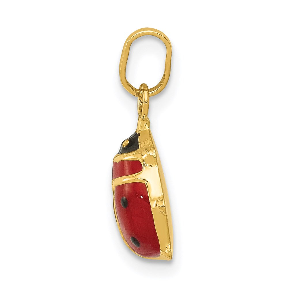 14K Gelbgold 14K Rot Emailliert Marienkäfer Charm