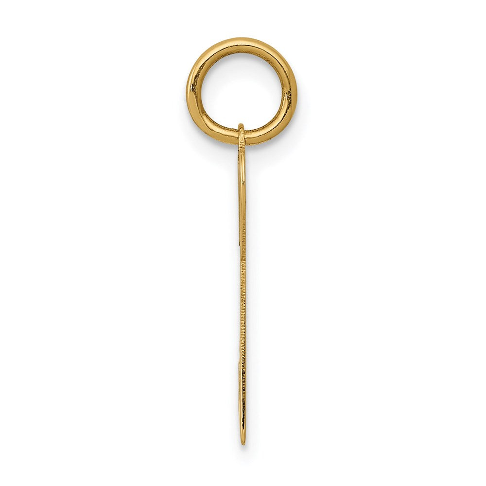 14K Gelbgold 14K Poliert Herzen Key Charm