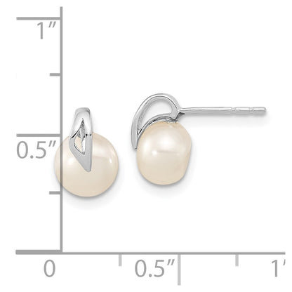14K Weißgold Ohrstecker mit 7-8 mm Knopf-Süßwasserzuchtperlen