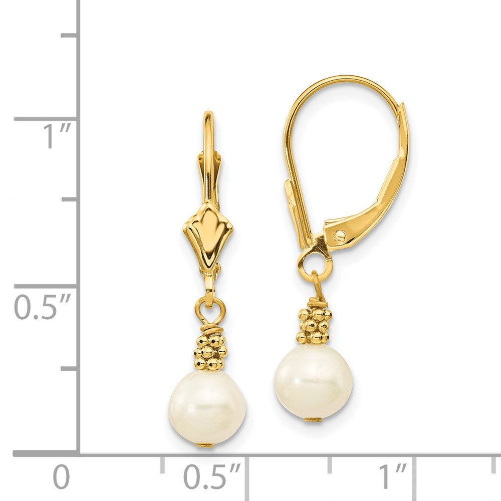 14K Gelbgold 5 6mm Weiß Halb Rund Süßwasser Zuchtperle Hängend Ohrhänger mit Brisur