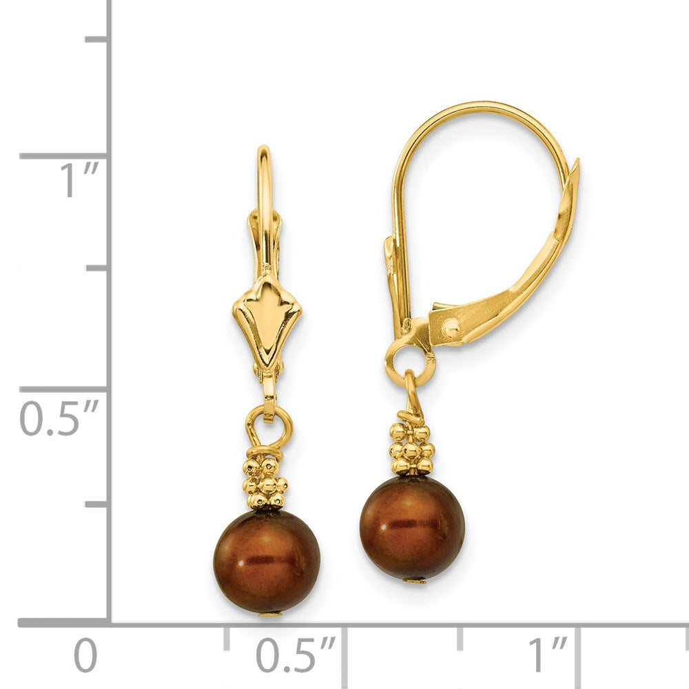 14K Gelbgold 5 6mm Braun Halb Rund Süßwasser Zuchtperle Hängend Ohrhänger mit Brisur