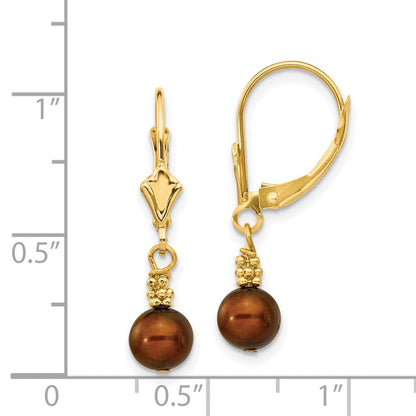 14K Gelbgold 5 6mm Braun Halb Rund Süßwasser Zuchtperle Hängend Ohrhänger mit Brisur