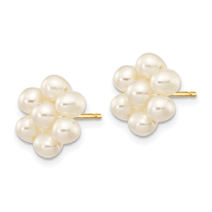 14K Gelbgold 3 4mm Weiß Egg Süßwasser Zuchtperle Blume Ohrringe