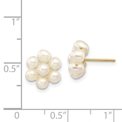 14K Gelbgold 3 4mm Weiß Egg Süßwasser Zuchtperle Blume Ohrringe