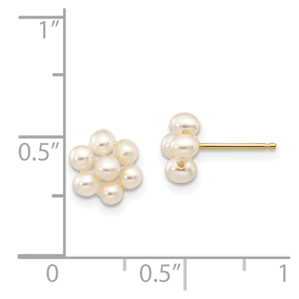 14K Gelbgold 2 3mm Weiß Egg Süßwasser Zuchtperle Blume Ohrringe