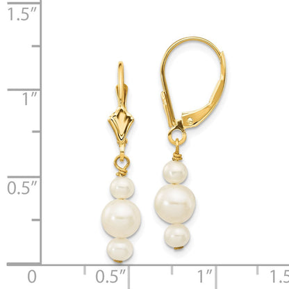 14K Gelbgold 3 3.5mm und 5 5.5mm Weiß Halb Rund Süßwasser Zuchtperle Hängend Ohrhänger mit Brisur