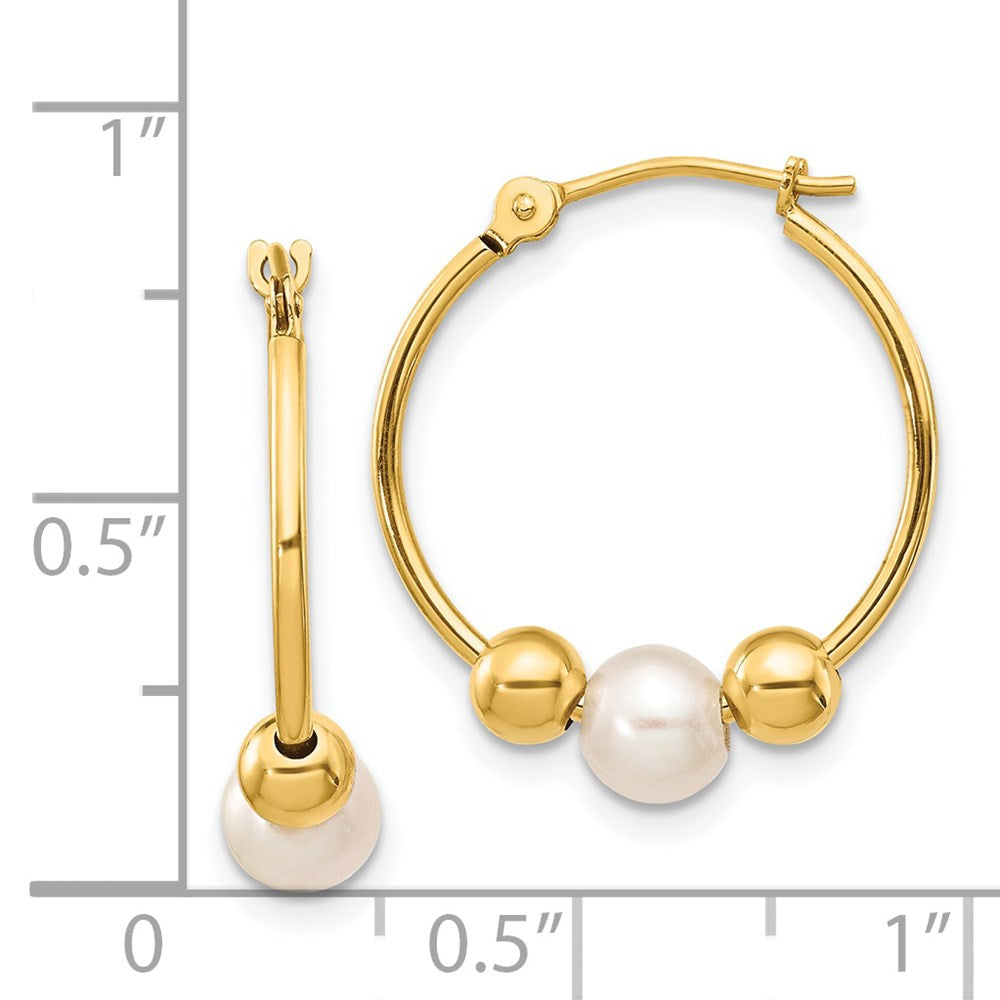 14K Gelbgold 5 6mm Weiß Halb Rund Süßwasser Zuchtperle Poliert Creole Ohrring