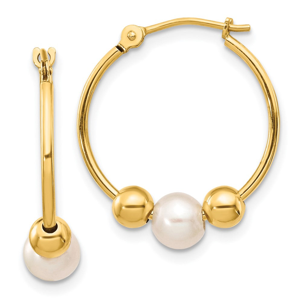14K Gelbgold 5 6mm Weiß Halb Rund Süßwasser Zuchtperle Poliert Creole Ohrring