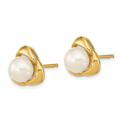14K Gelbgold 5 6mm Weiß Knopf Süßwasser Zuchtperle Ohrstecker