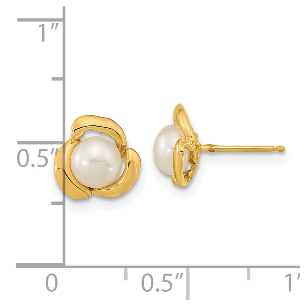 14K Gelbgold 5 6mm Weiß Knopf Süßwasser Zuchtperle Ohrstecker