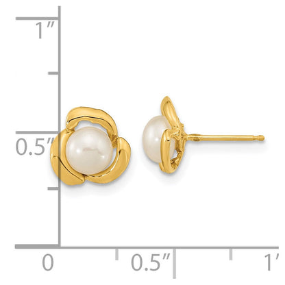 14K Gelbgold 5 6mm Weiß Knopf Süßwasser Zuchtperle Ohrstecker