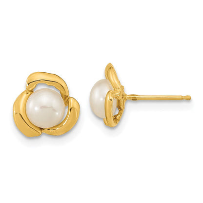 14K Gelbgold 5 6mm Weiß Knopf Süßwasser Zuchtperle Ohrstecker
