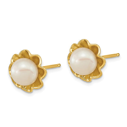 14K Gelbgold 5 6mm Weiß Knopf Süßwasser Zuchtperle Ohrstecker