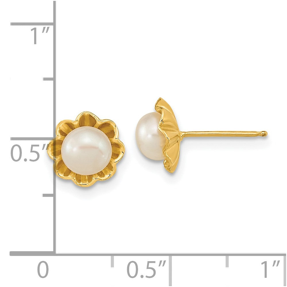 14K Gelbgold 5 6mm Weiß Knopf Süßwasser Zuchtperle Ohrstecker