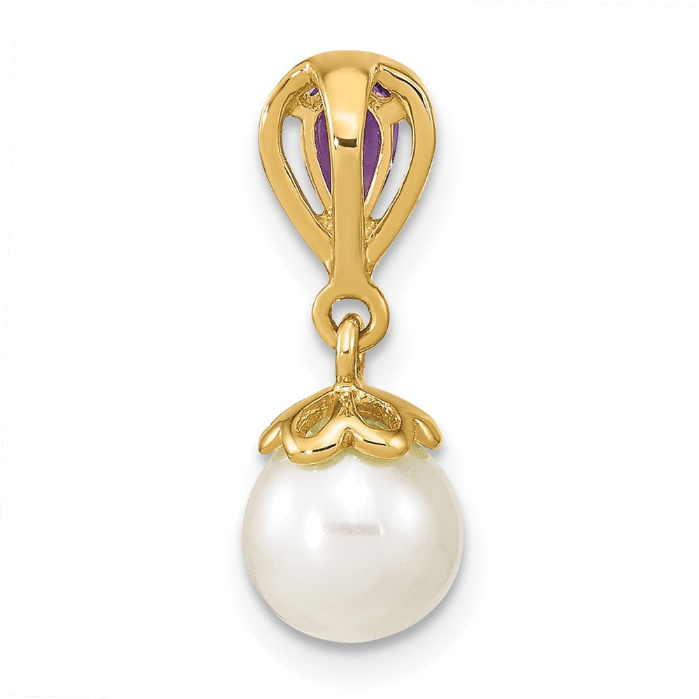 14K Gelbgold 14K Gold mit Amethyst & Süßwasser Zuchtperle Poliert Kette Anhänger