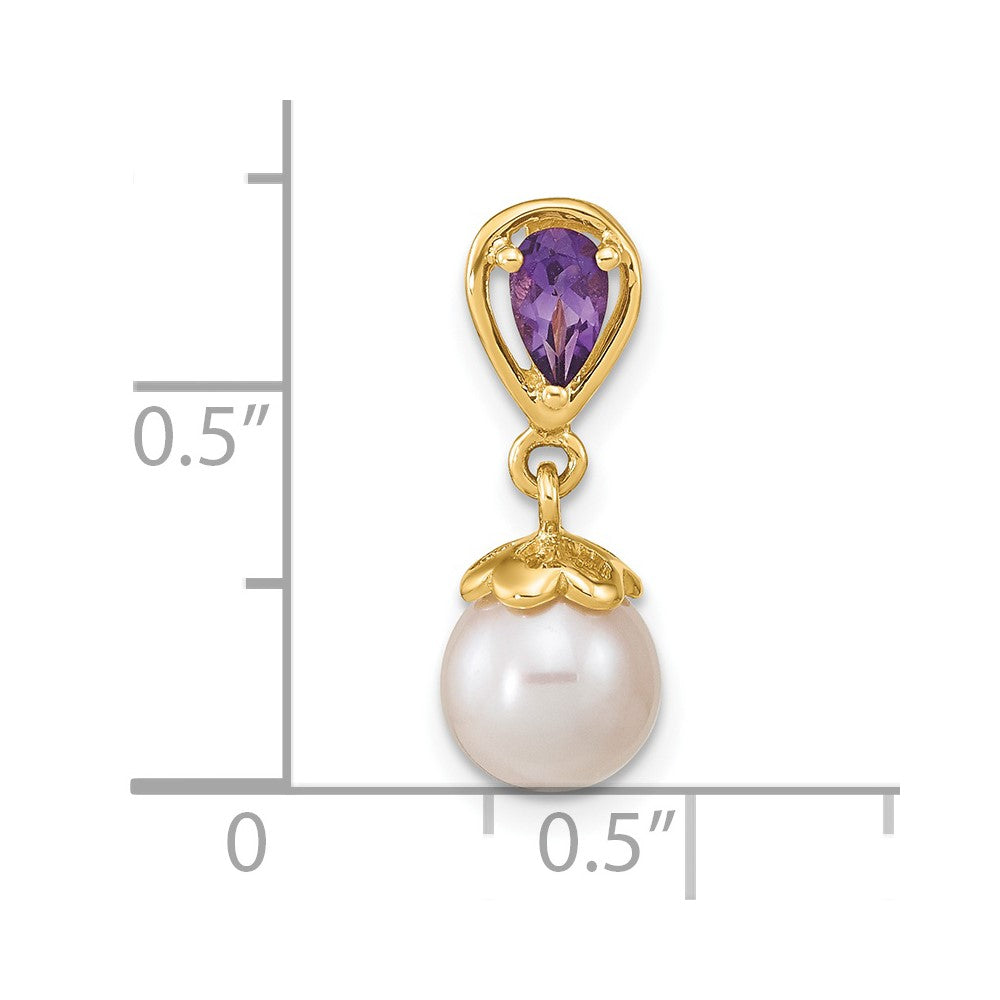 14K Gelbgold 14K Gold mit Amethyst & Süßwasser Zuchtperle Poliert Kette Anhänger