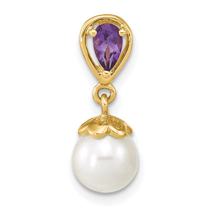 14K Gelbgold 14K Gold mit Amethyst & Süßwasser Zuchtperle Poliert Kette Anhänger