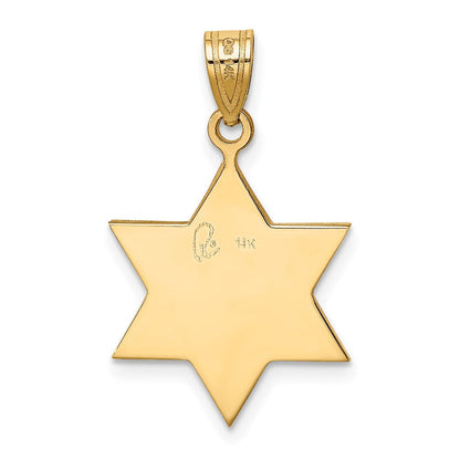 14K Bicolor Gold Davidstern-Anhänger