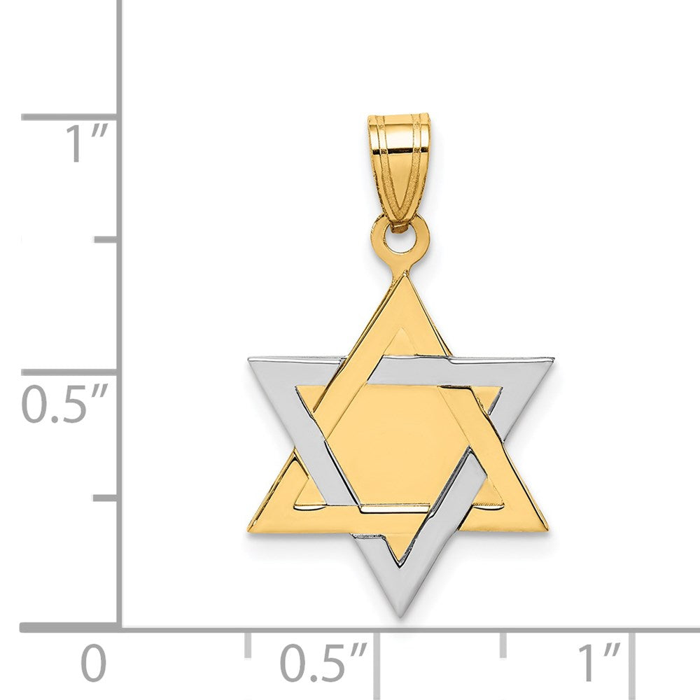 14K Bicolor Gold Davidstern-Anhänger