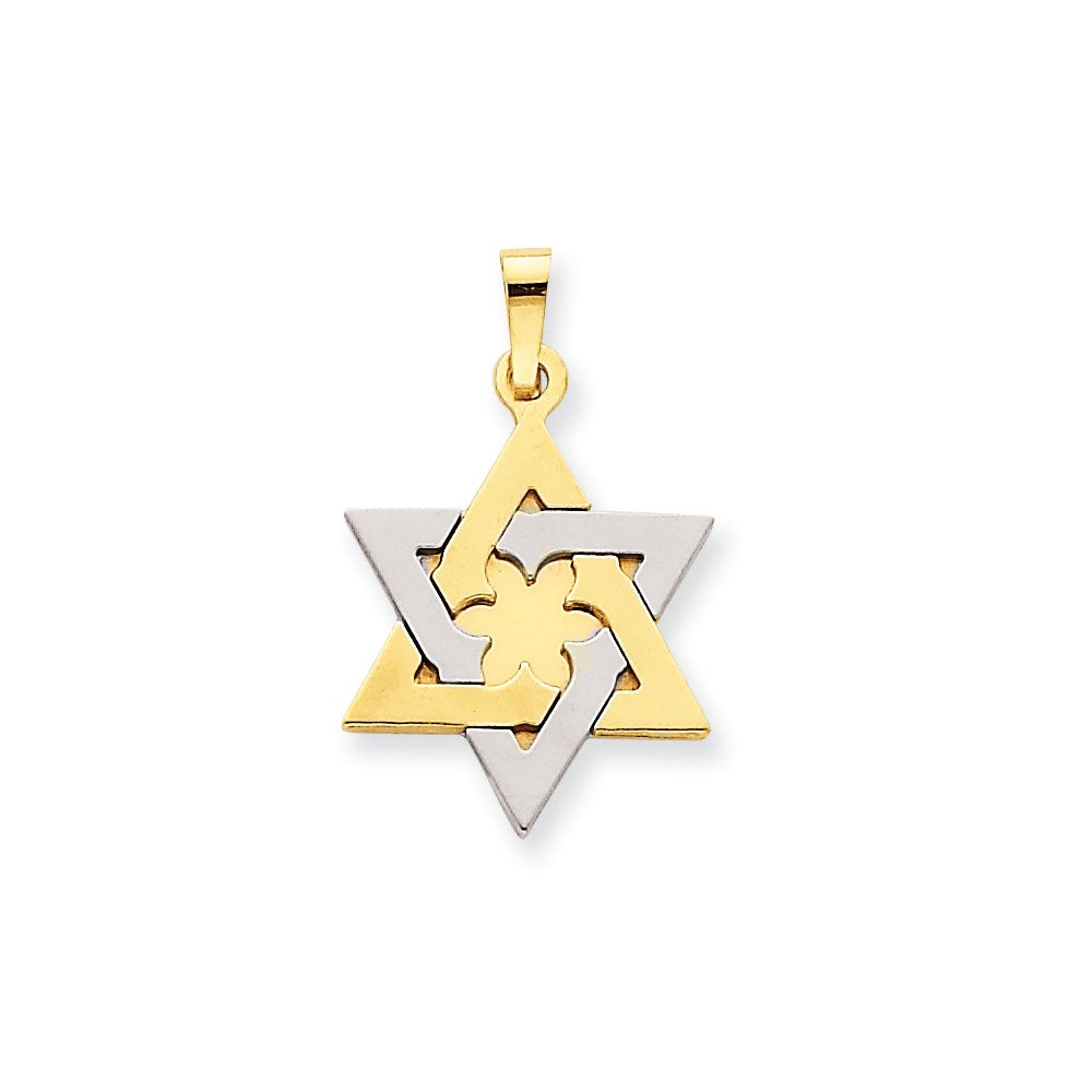 14K Bicolor Gold Stern Of David