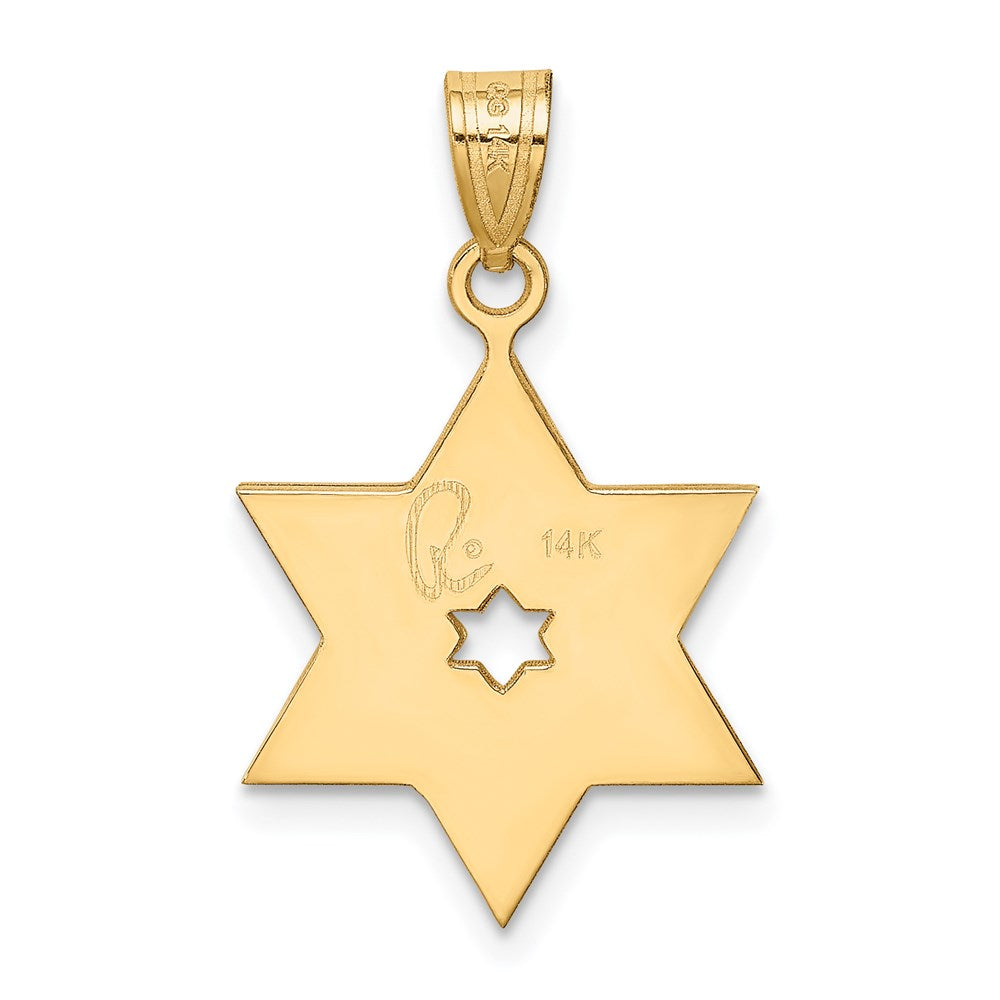 14K Bicolor-Gold Davidstern-Anhänger