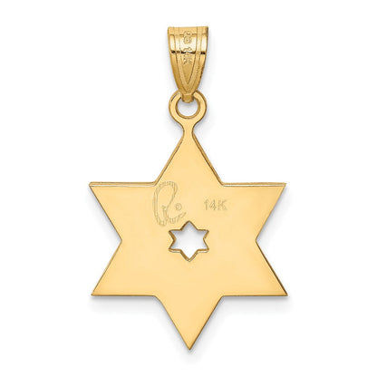 14K Bicolor-Gold Davidstern-Anhänger