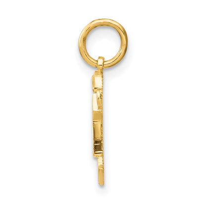 14K Gelbgold Mini-Jungen-Freude-Charm