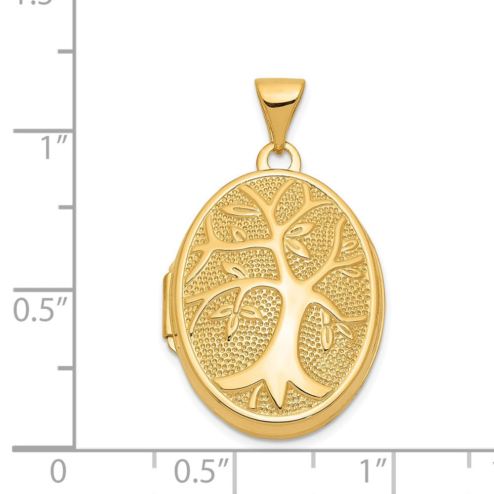 14K Gelbgold 14ky 21x16mm Oval Baum Medaillon