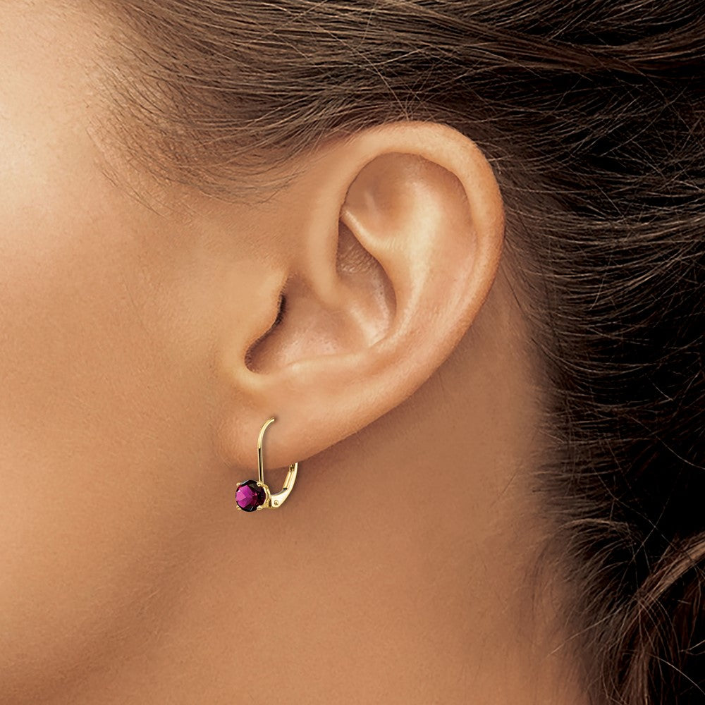 14K Gelbgold Ohrhänger mit Amethyst, 5 mm, Leverback-Verschluss