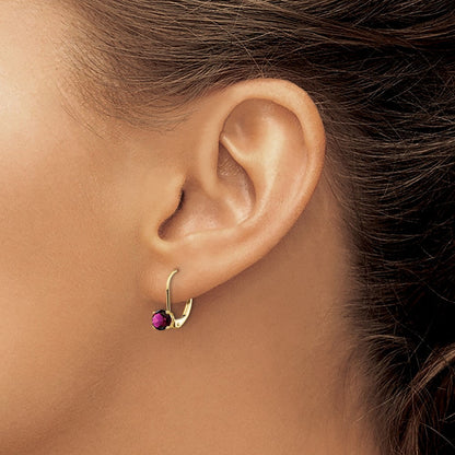 14K Gelbgold Ohrhänger mit Amethyst, 5 mm, Leverback-Verschluss