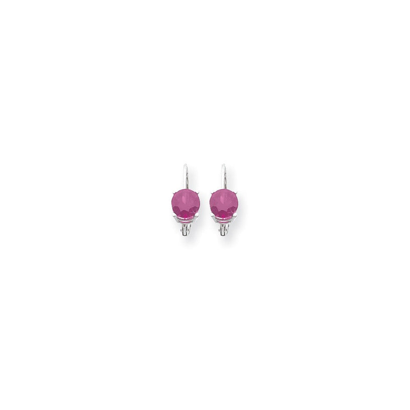 14K Weißgold Ohrringe mit 6-mm-Pink-Saphir und Klappbrisur