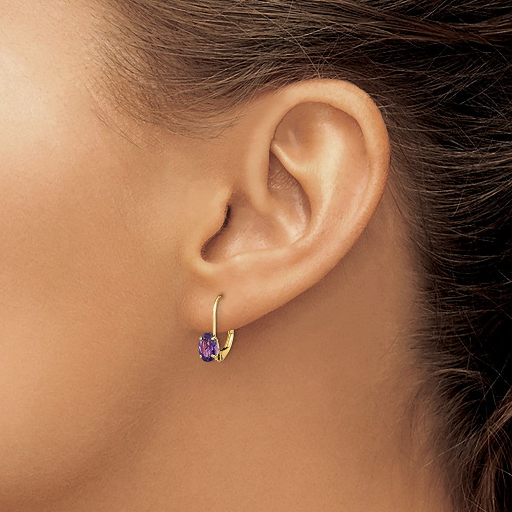 14K Gelbgold Ohrringe mit ovalem Amethyst, 6x4 mm, mit Brisurverschluss