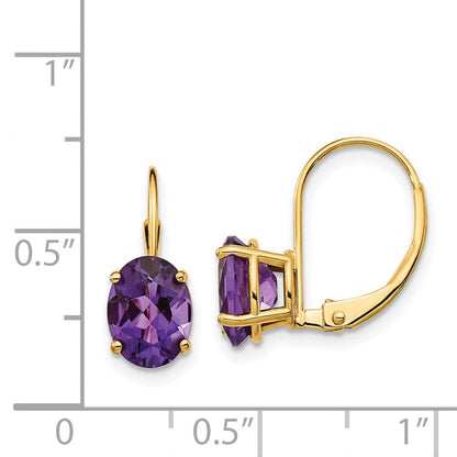 14K Gelbgold Ohrhänger mit 8x6mm ovalem Amethyst und Leverback-Verschluss