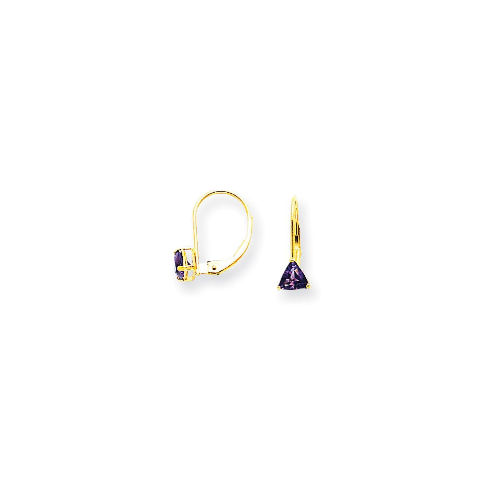 14K Gelbgold Ohrhänger mit trillionförmigem Amethyst, 5 mm, mit Leverback-Verschluss