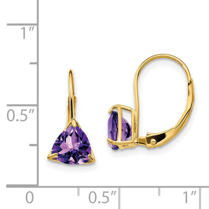 14K Gelbgold Ohrringe mit 6 mm Amethyst im Trillion-Schliff und Leverback-Verschluss