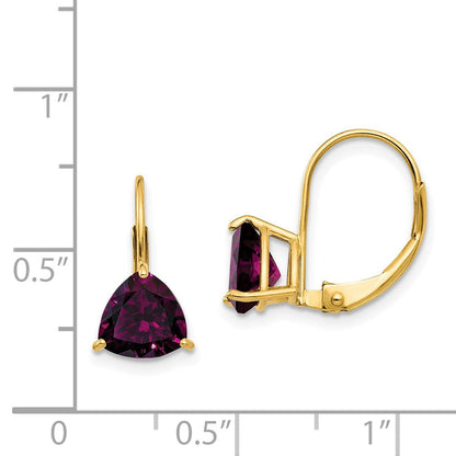 14K Gelbgold Rhodolith-Granat-Ohrhänger mit Leverback-Verschluss, 7 mm