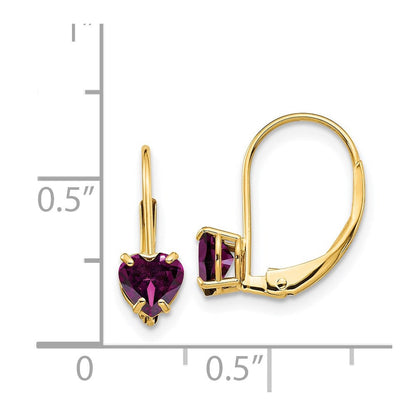 14K Gelbgold Ohrhänger mit 5-mm-Herz-Rhodolith-Granat und Leverback-Verschluss