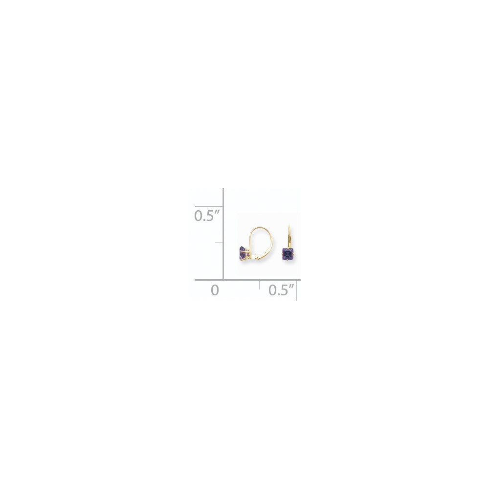 14K Gelbgold Ohrringe mit Amethyst im Prinzessschliff, 5 mm, Leverback-Verschluss