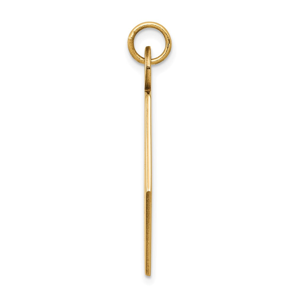 14K Gelbgold 14K Rot Emaille Medizinisch Schmuck Anhänger