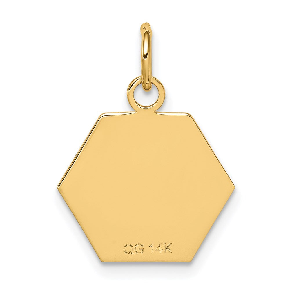 14K Gelbgold 14K Rot Emaille Medizinisch Schmuck Anhänger