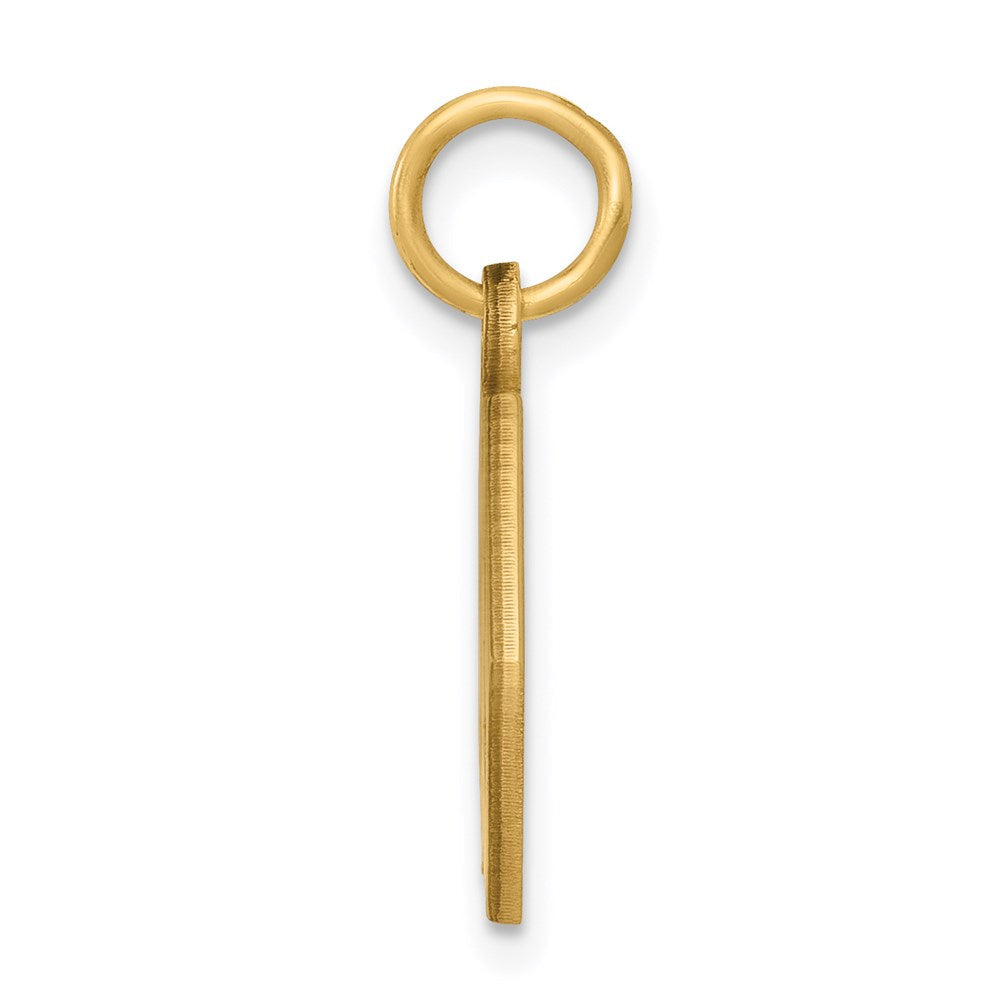 14K Gelbgold 14K Non-enameled Medizinisch Schmuck Anhänger