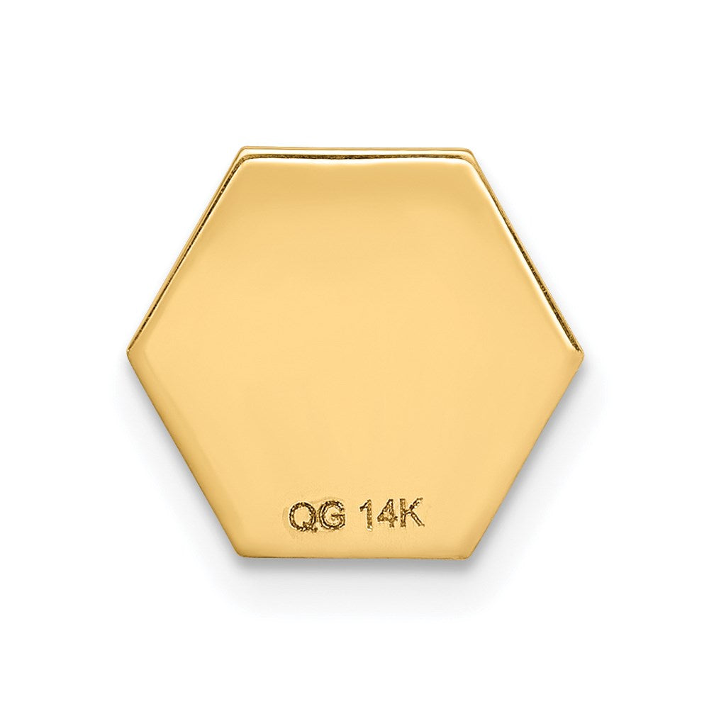 14K Gelbgold 14K Non-enameled Attachable Medizinisch Emblem Charm
