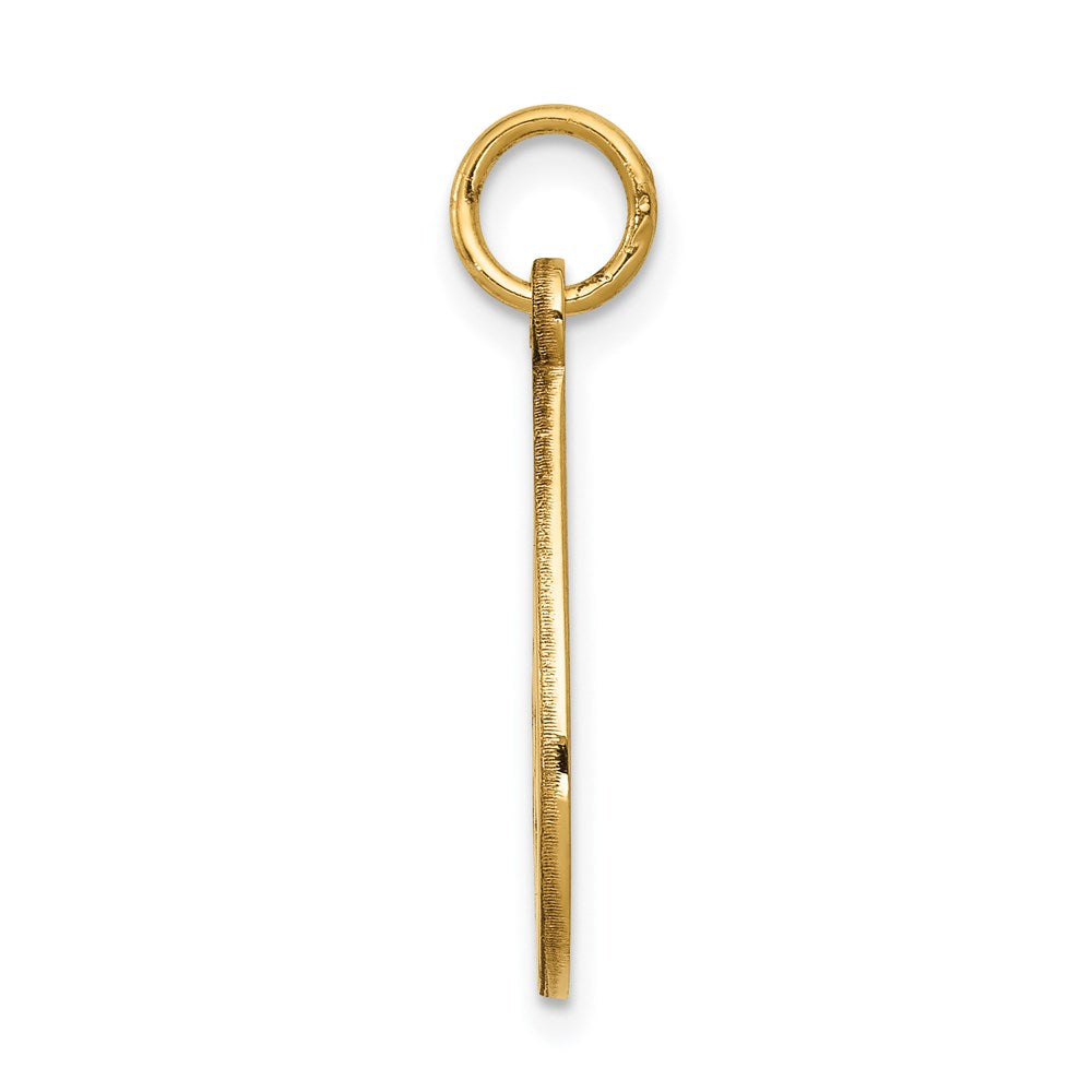 14K Gelbgold Medizinschmuck-Anhänger, unemailliert