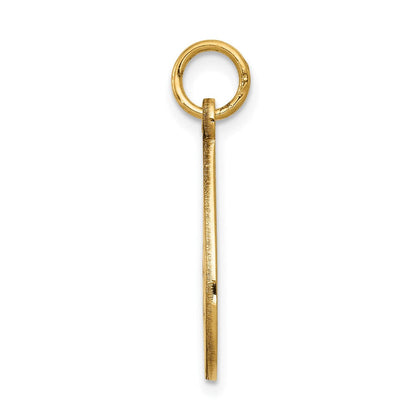14K Gelbgold Medizinschmuck-Anhänger, unemailliert