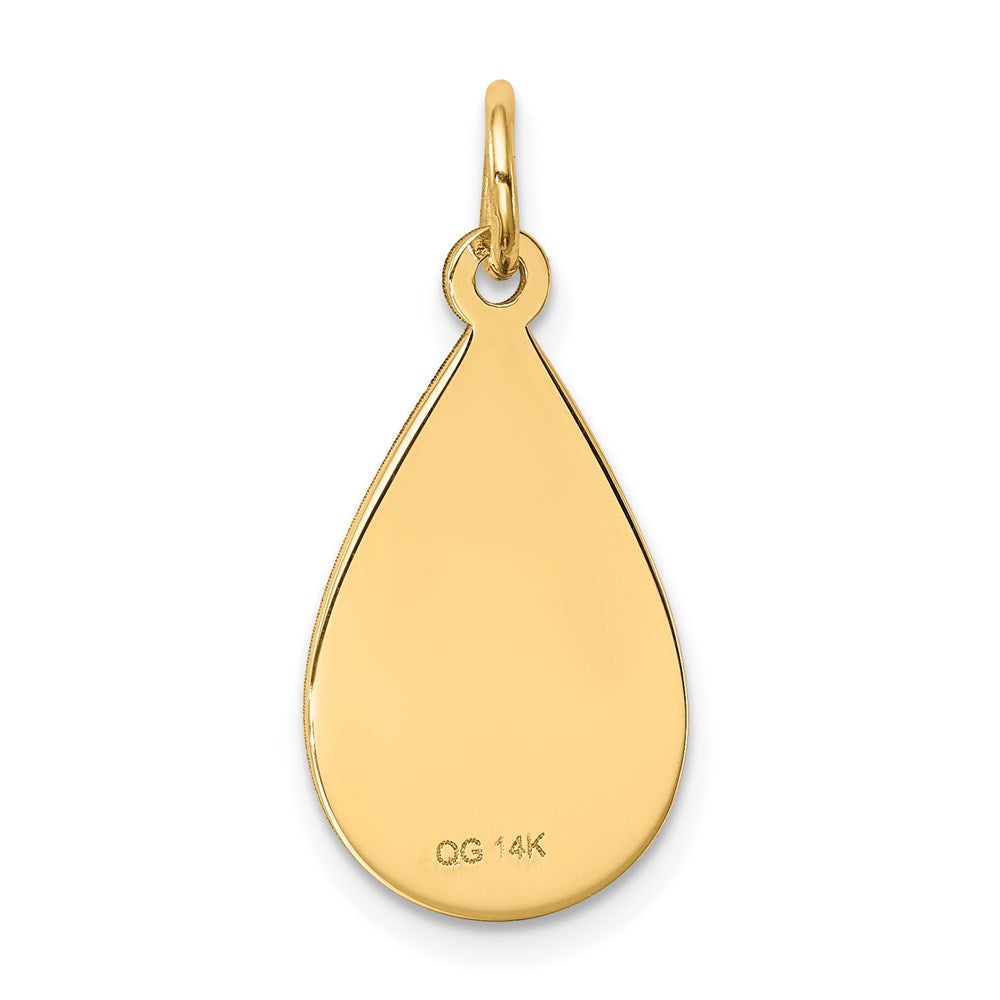 14K Gelbgold Medizinschmuck-Anhänger, unemailliert