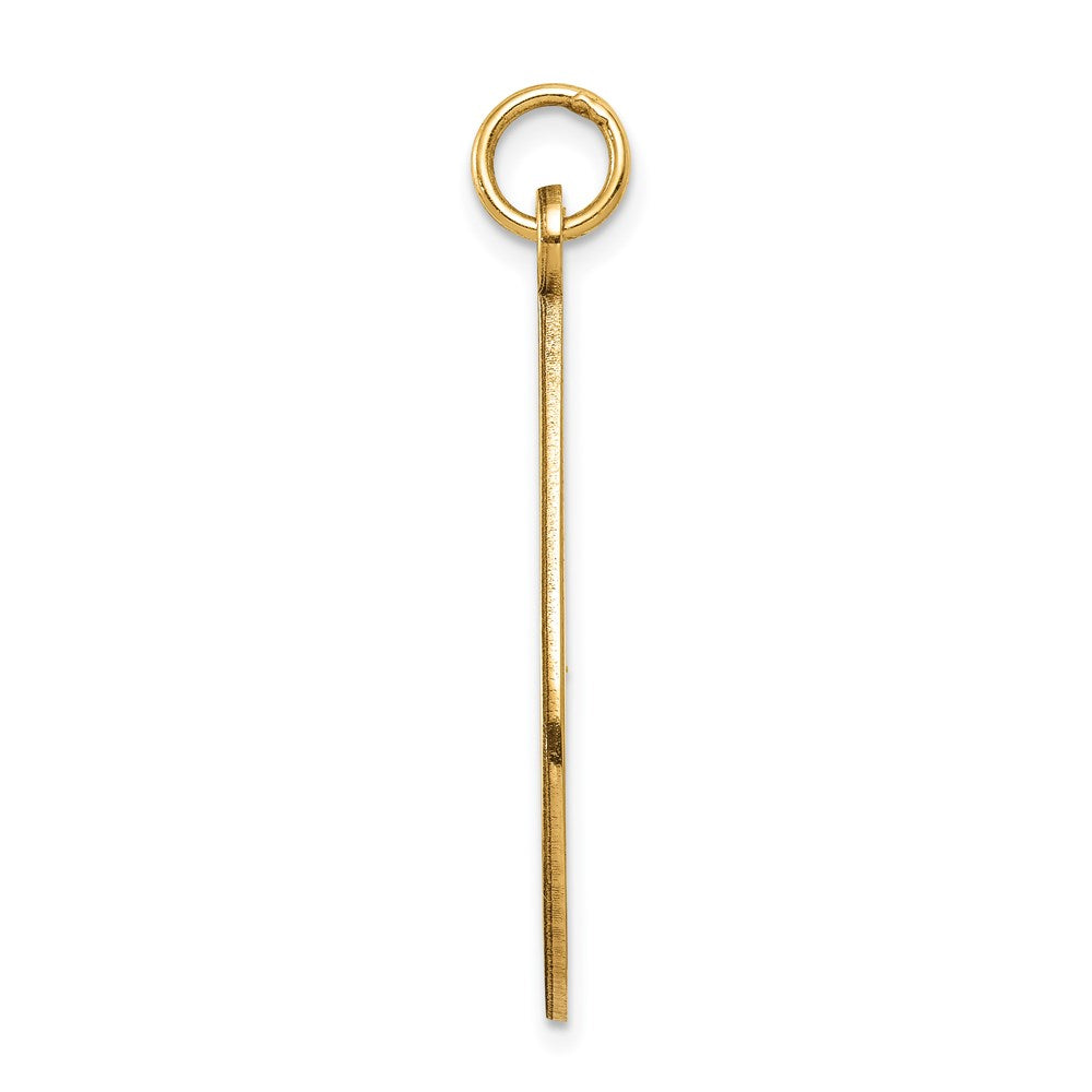 14K Gelbgold Medizinschmuck-Anhänger, unemailliert