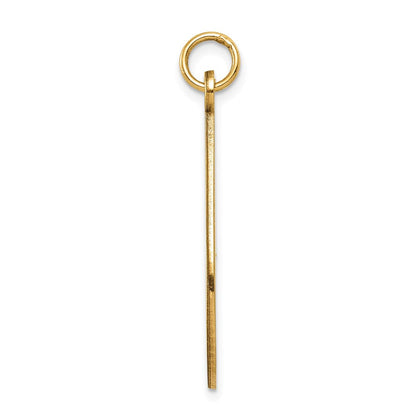 14K Gelbgold Medizinschmuck-Anhänger, unemailliert