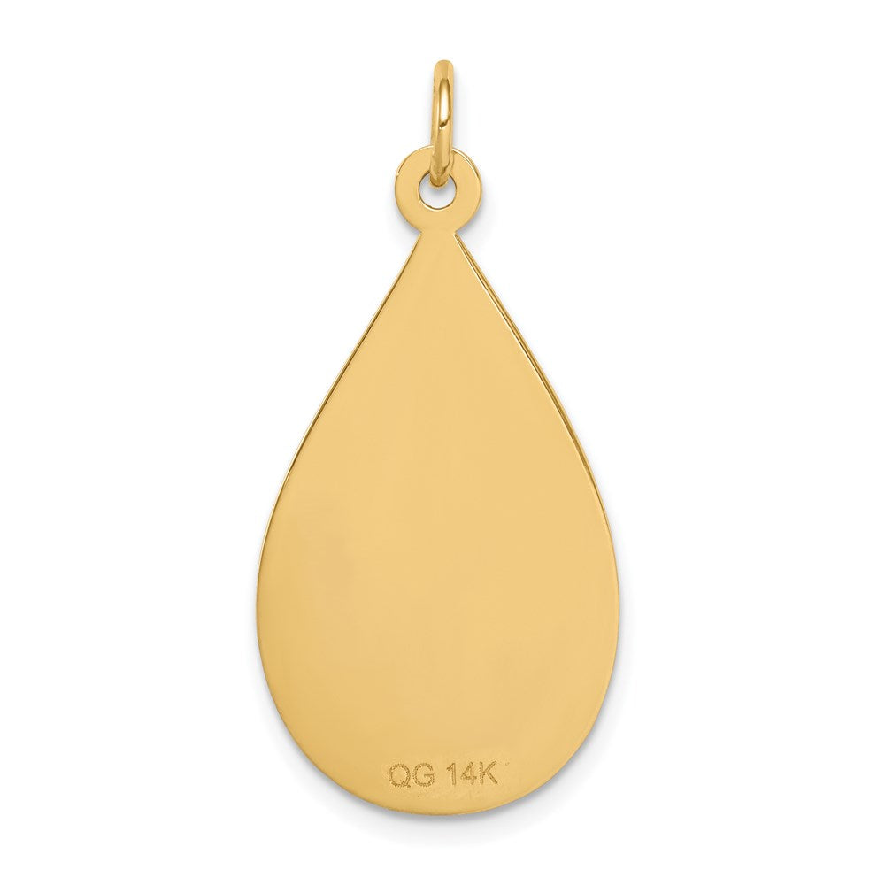 14K Gelbgold Medizinschmuck-Anhänger, unemailliert