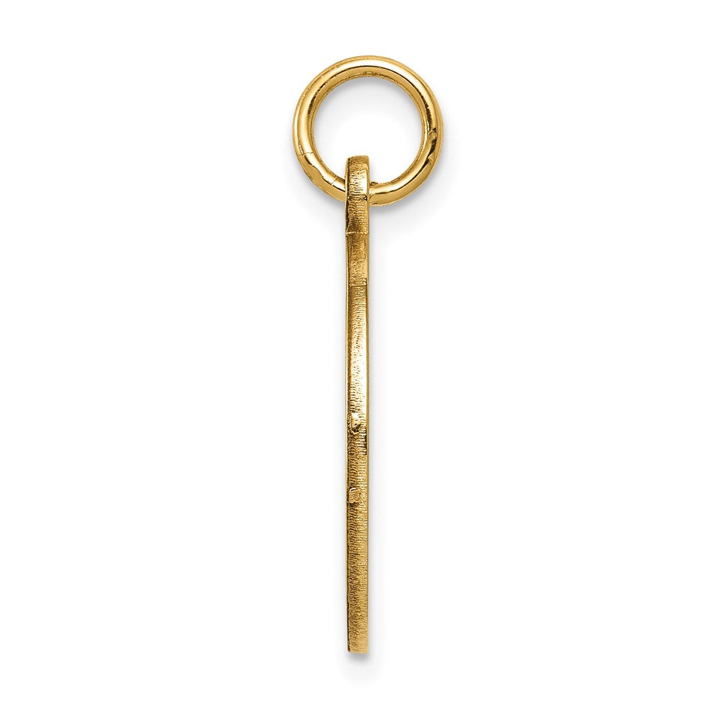 14 Karat Gelbgold Medizinschmuck-Anhänger, unemailliert